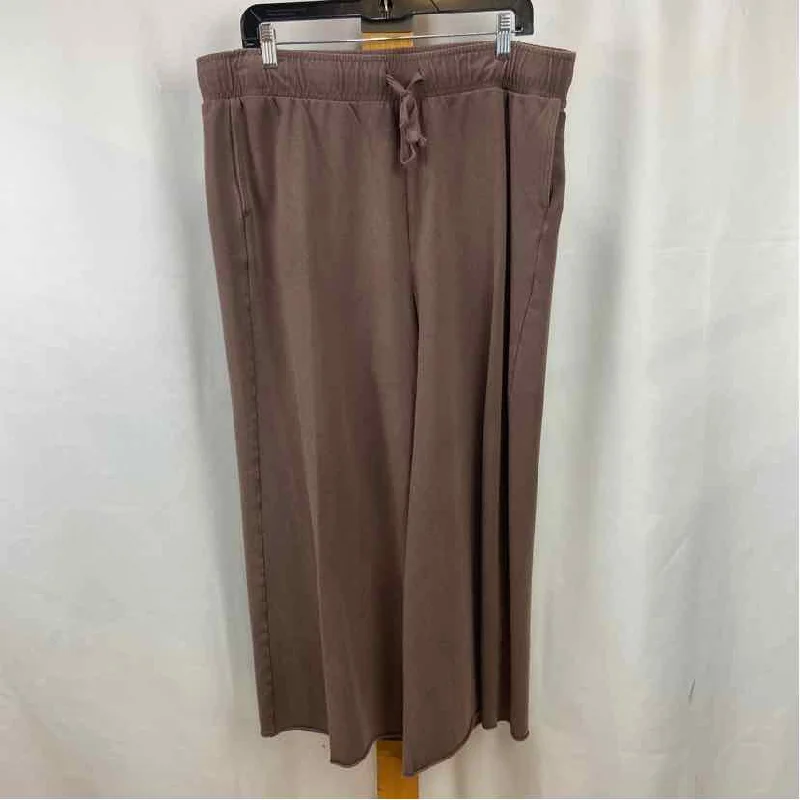 Aerie Women's Size XL Brown Solid Pants